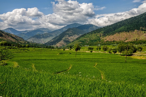 Lolab Valley