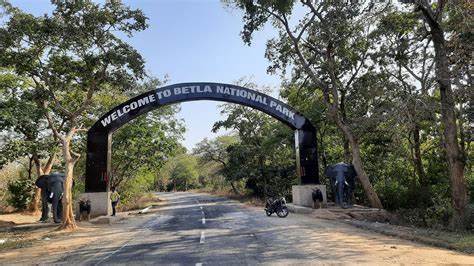 Betla National Park