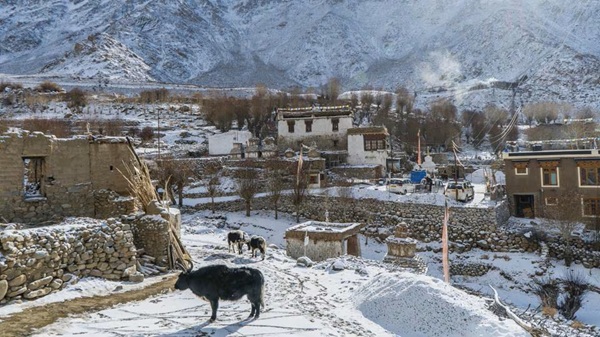 Ulley Village