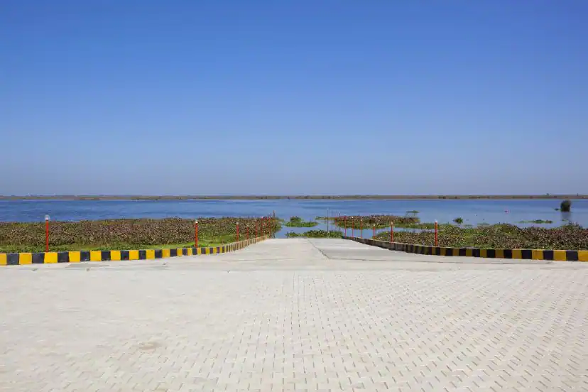 Harike Wetland
