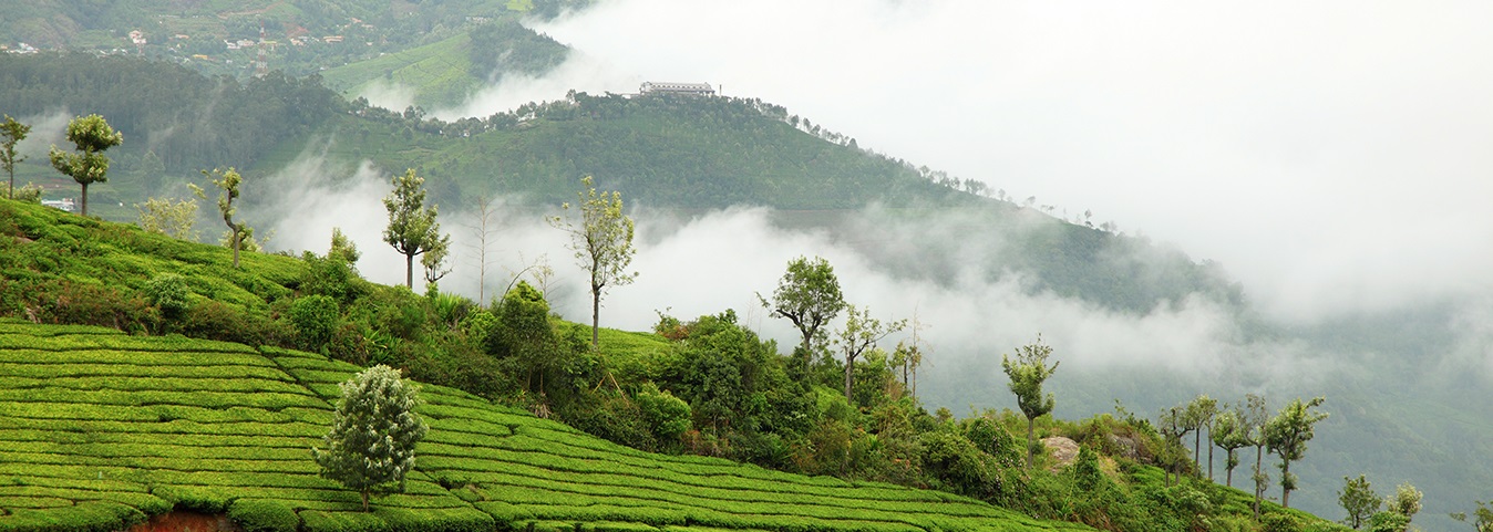 Itinerary Banner