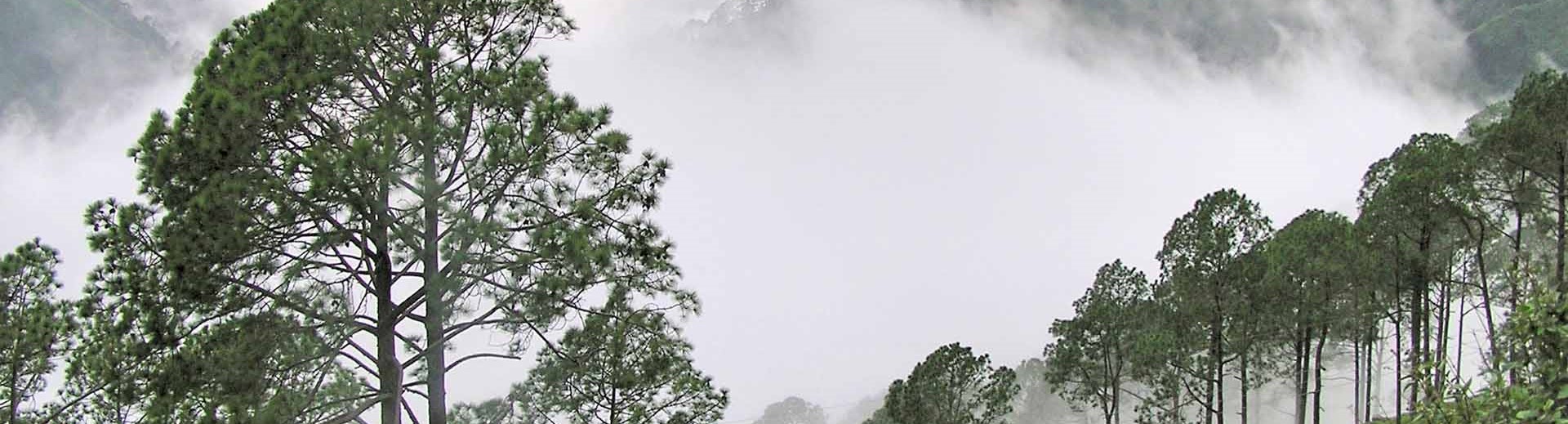 Itinerary Banner