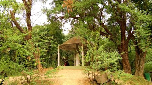 Allen Forest Zoo