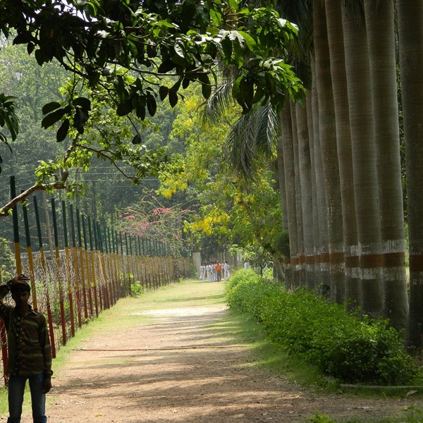 Kushmi Forest