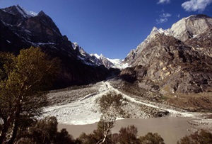 Alka Puri