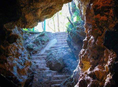 Eco Cave Gardens