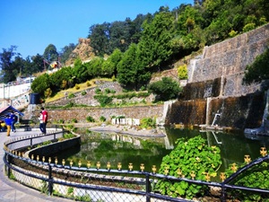 Nainital Zoo