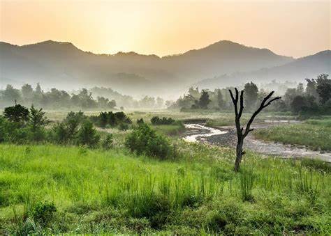  Rajaji National Park
